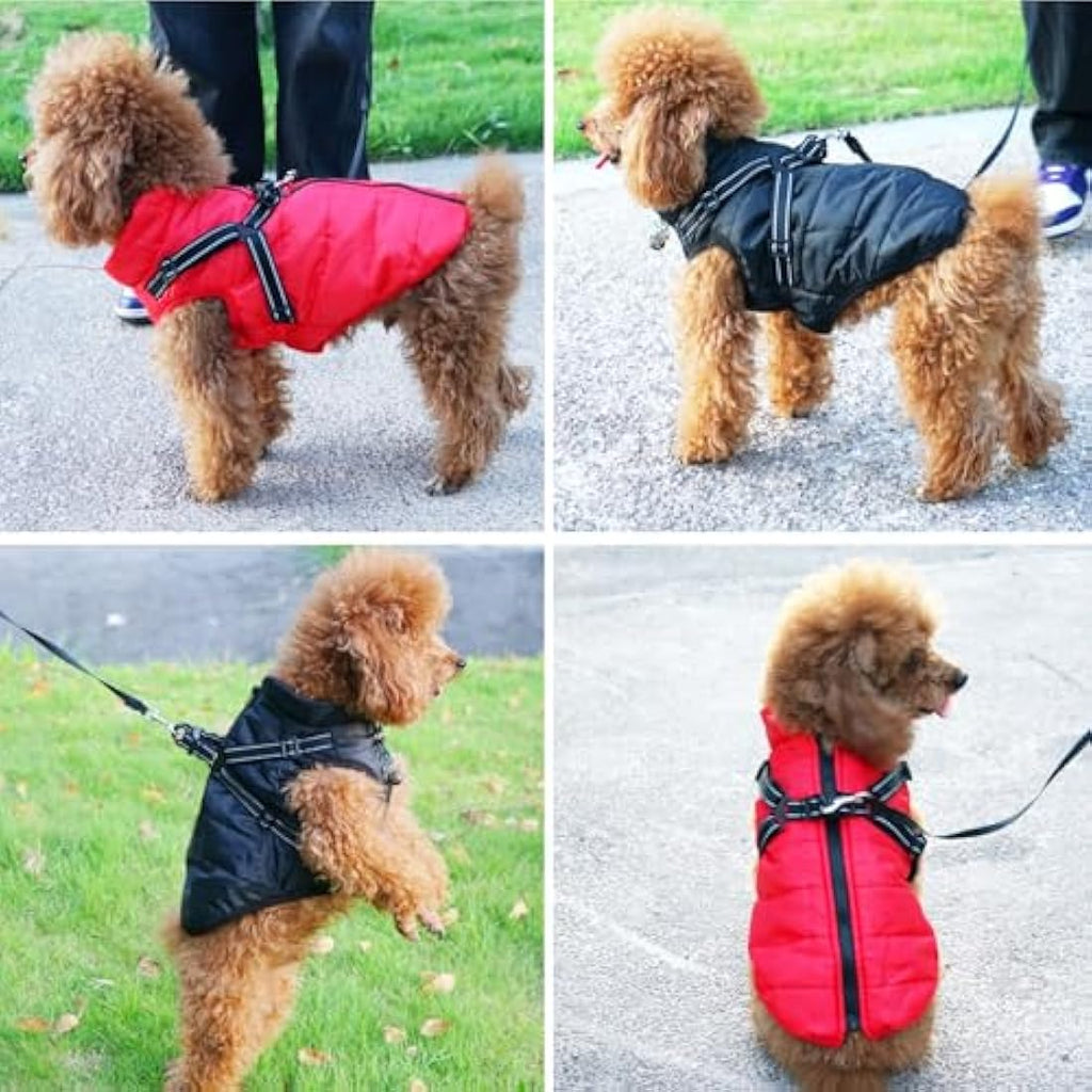 Jolof Store Waterproof Dog Coat with D-Ring – Warm Winter Puppy Jacket