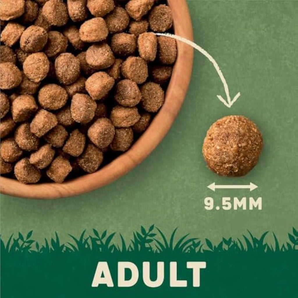 Harringtons Lamb & Rice Dry Adult Dog Food - Natural & Wheat Free 15kg