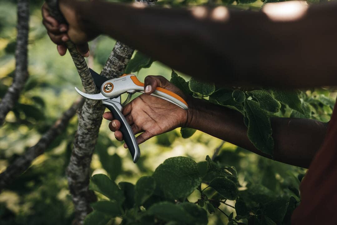 Fiskars Plus Metal Bypass Secateurs – Ergonomic Silver Pruning Shears