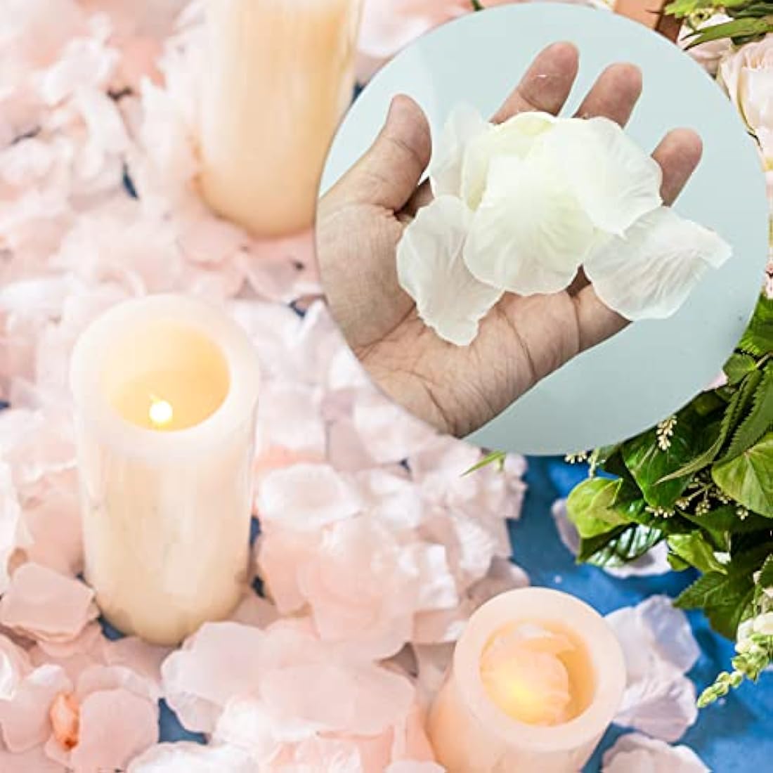 1000 Pcs Off White Silk Rose Petals for Wedding Decor
