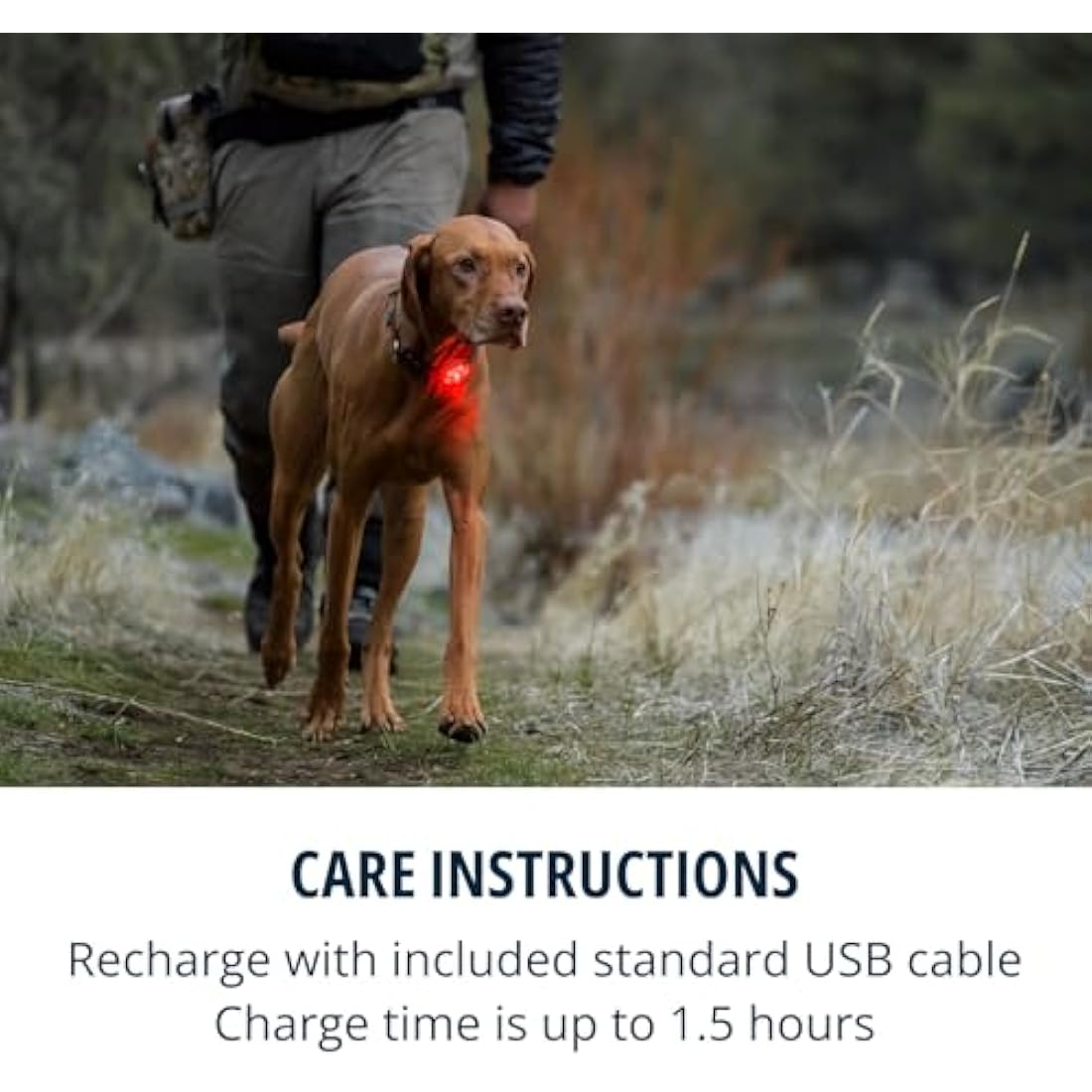 RUFFWEAR The Beacon LED Dog Safety Light | Waterproof & Rechargeable
