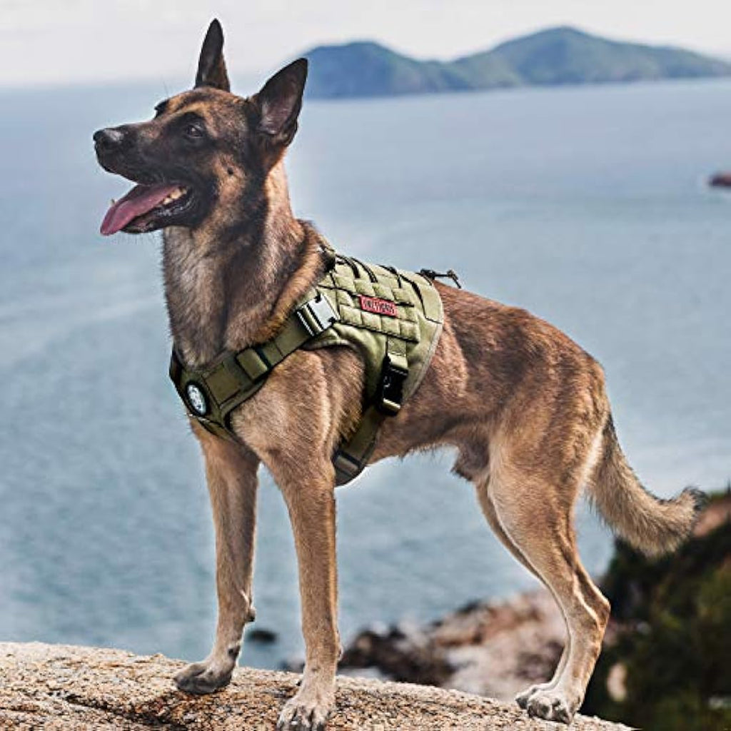 OneTigris Tactical Dog Harness | No-Pull Molle Vest - Ranger Green, XL