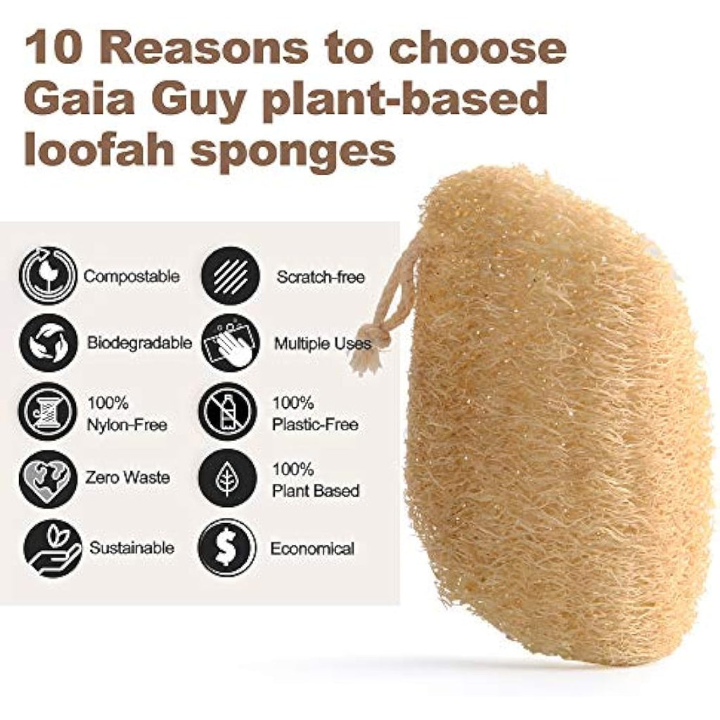 Jolof Store Natural Loofah Dish Sponges – 10 Pack Compostable Scourers