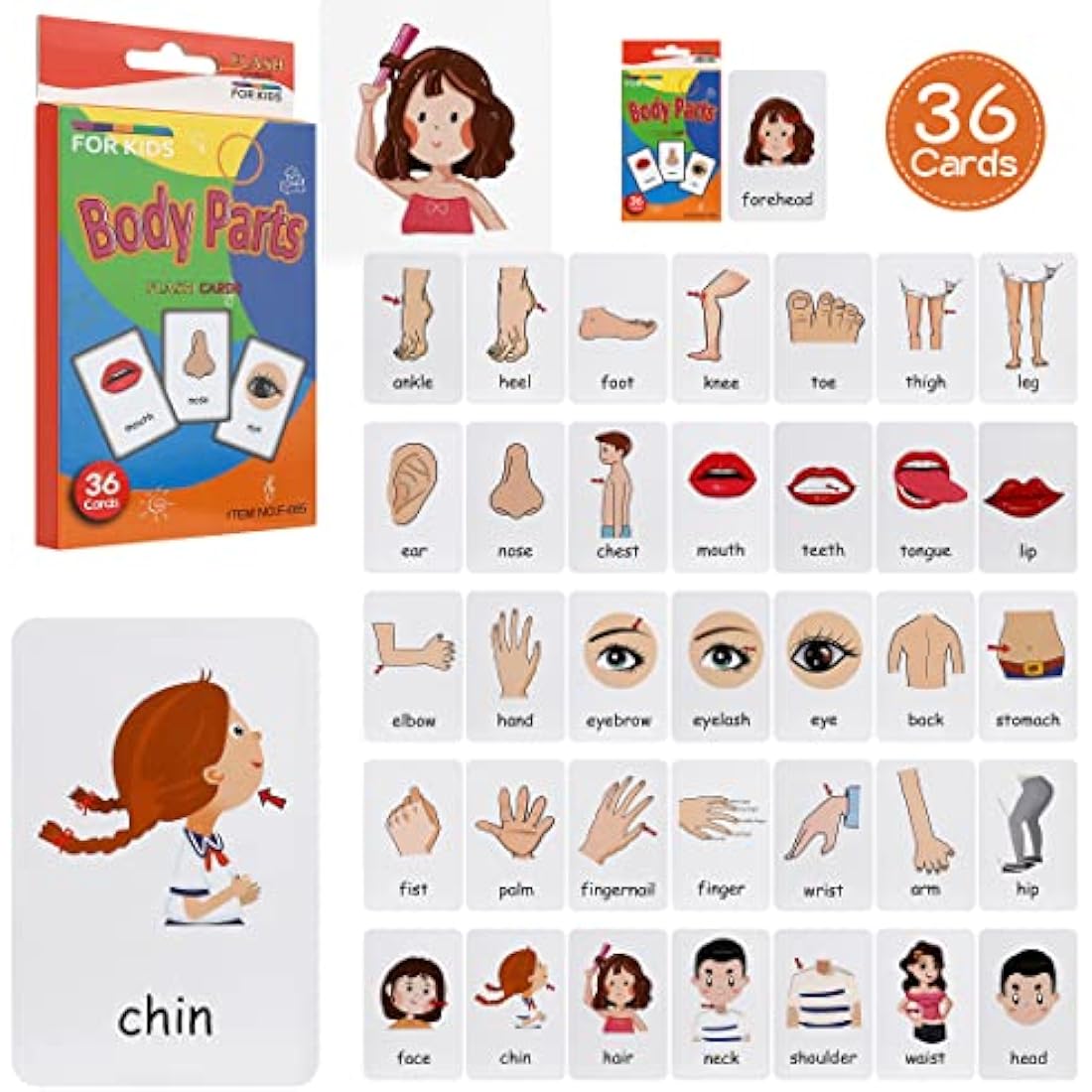 Leyun Kids Flash Cards | 144pc Early Learning Set for Toddlers Age 2-4
