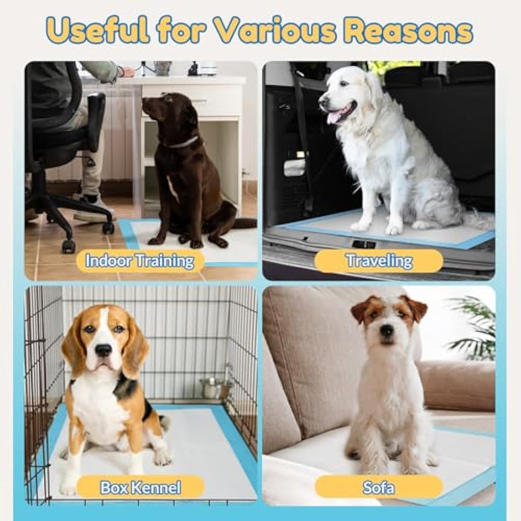Barpor Puppy Training Pads | 100 Pack Leak-Proof 60x60cm Dog Pee Pads