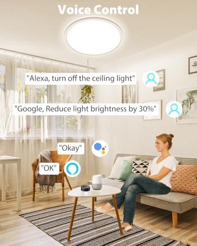 Peasur Smart RGB LED Ceiling Light - 24W Dimmable Flushmount Fixture