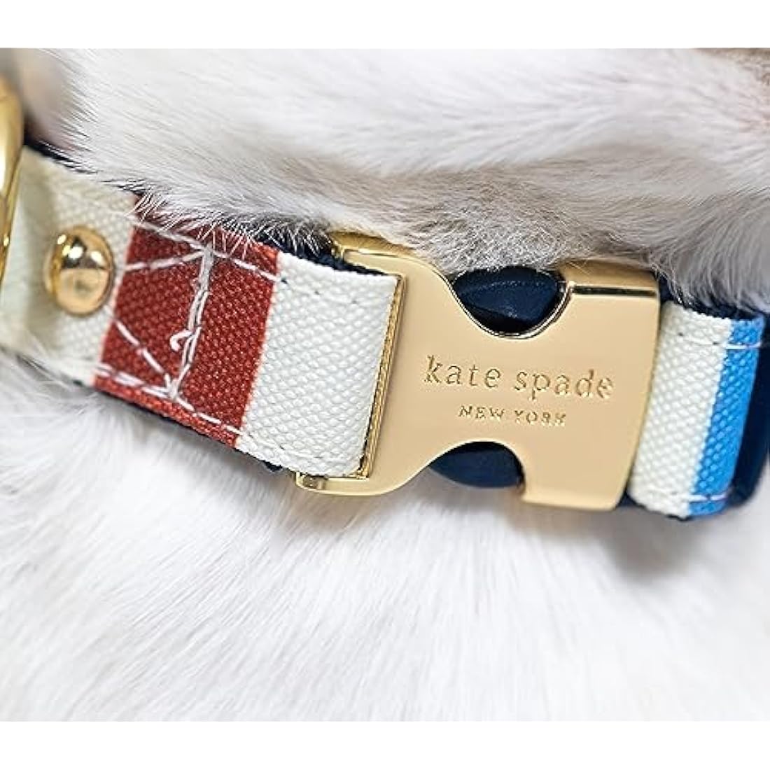 Kate Spade Adventure Stripe Dog Collar | Gold Buckle | Medium to Large