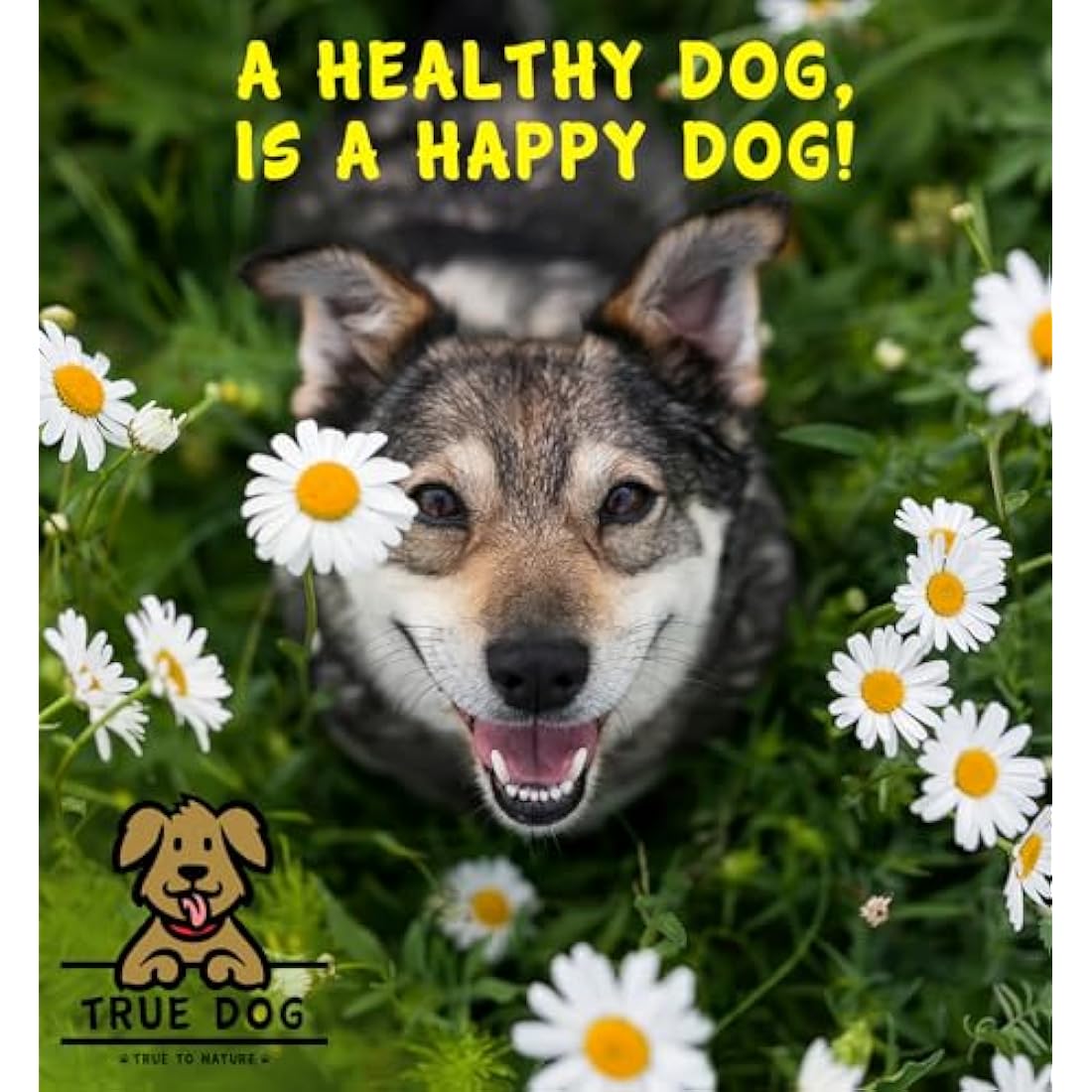 True Dog 100% Pure Scottish Salmon Oil for Dogs & Cats - 5L Bulk