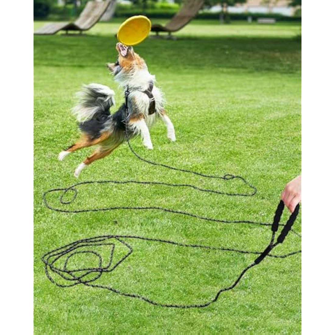 Taglory 20m Dog Training Lead | Reflective Long Nylon Leash - Black