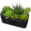 Briful Artificial Succulents in Black Ceramic Pot | Faux Potted Plants