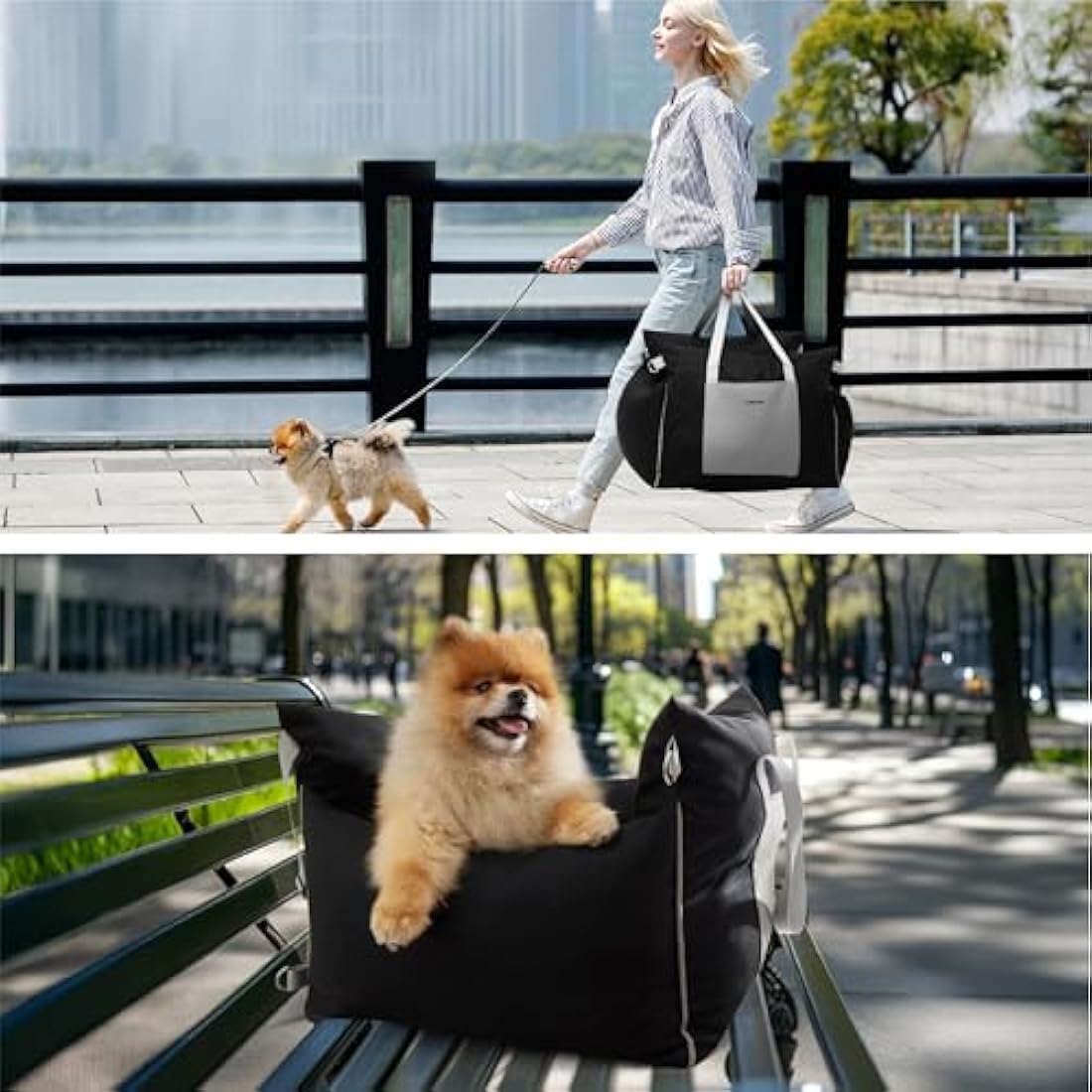 Lesure Dog Car Seat – Waterproof Memory Foam Booster Seat for Medium Dogs