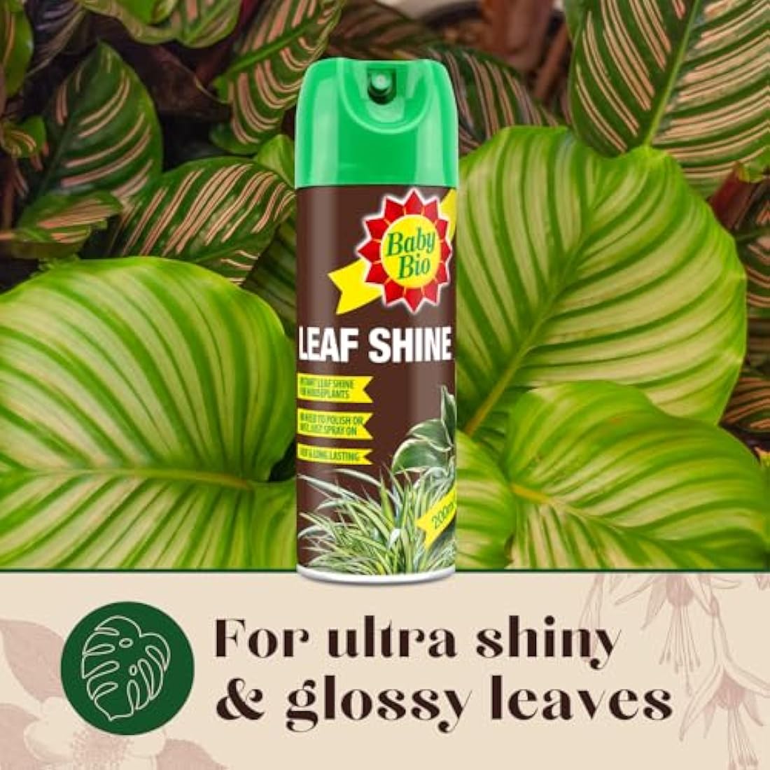 Baby Bio Leaf Shine – 200ml Aerosol Spray for Healthy Houseplant Leaves