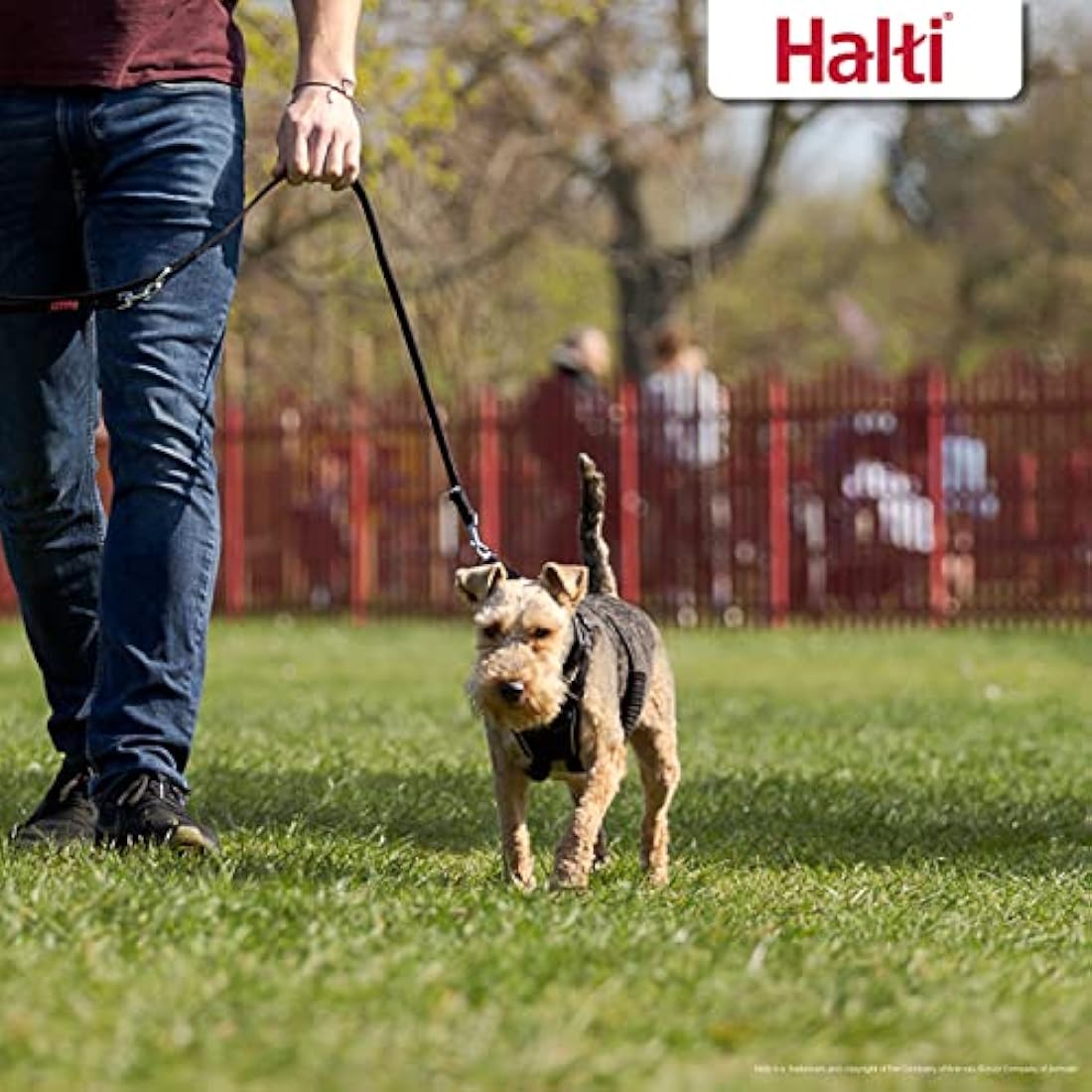 Halti No Pull Dog Training Harness – Reflective & Adjustable, Small, Black