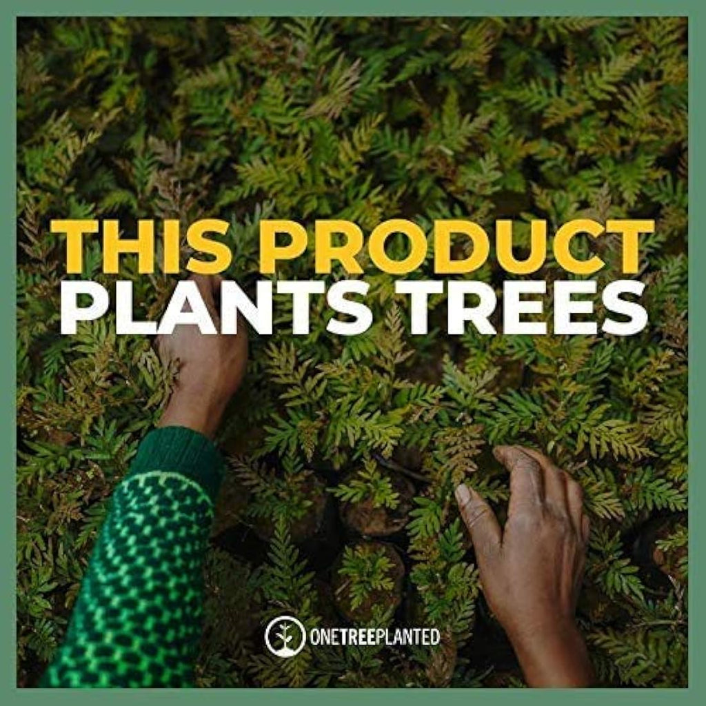 SeedzBox Wild Bird Food Seed Mix with Suet Pellets & Mealworms - 5kg