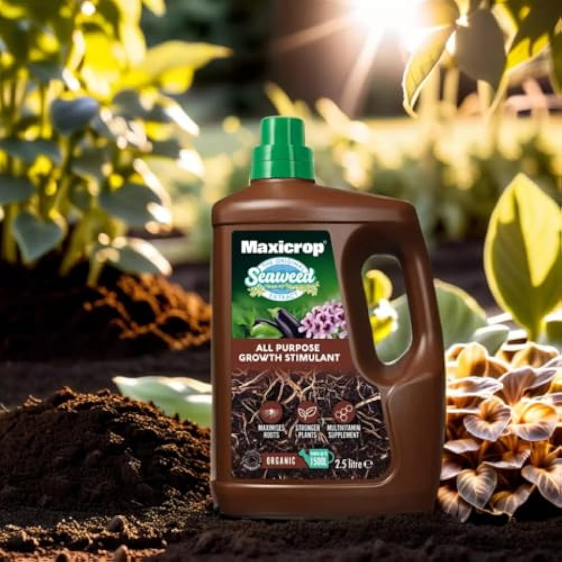 Maxicrop All Purpose Plant Growth Stimulant | Organic Seaweed – 2.5L