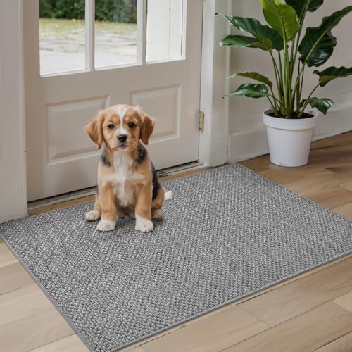 DEXI Indoor Door Mat – 81x122cm Non-Slip Dirt Trapper Entrance Rug, Grey