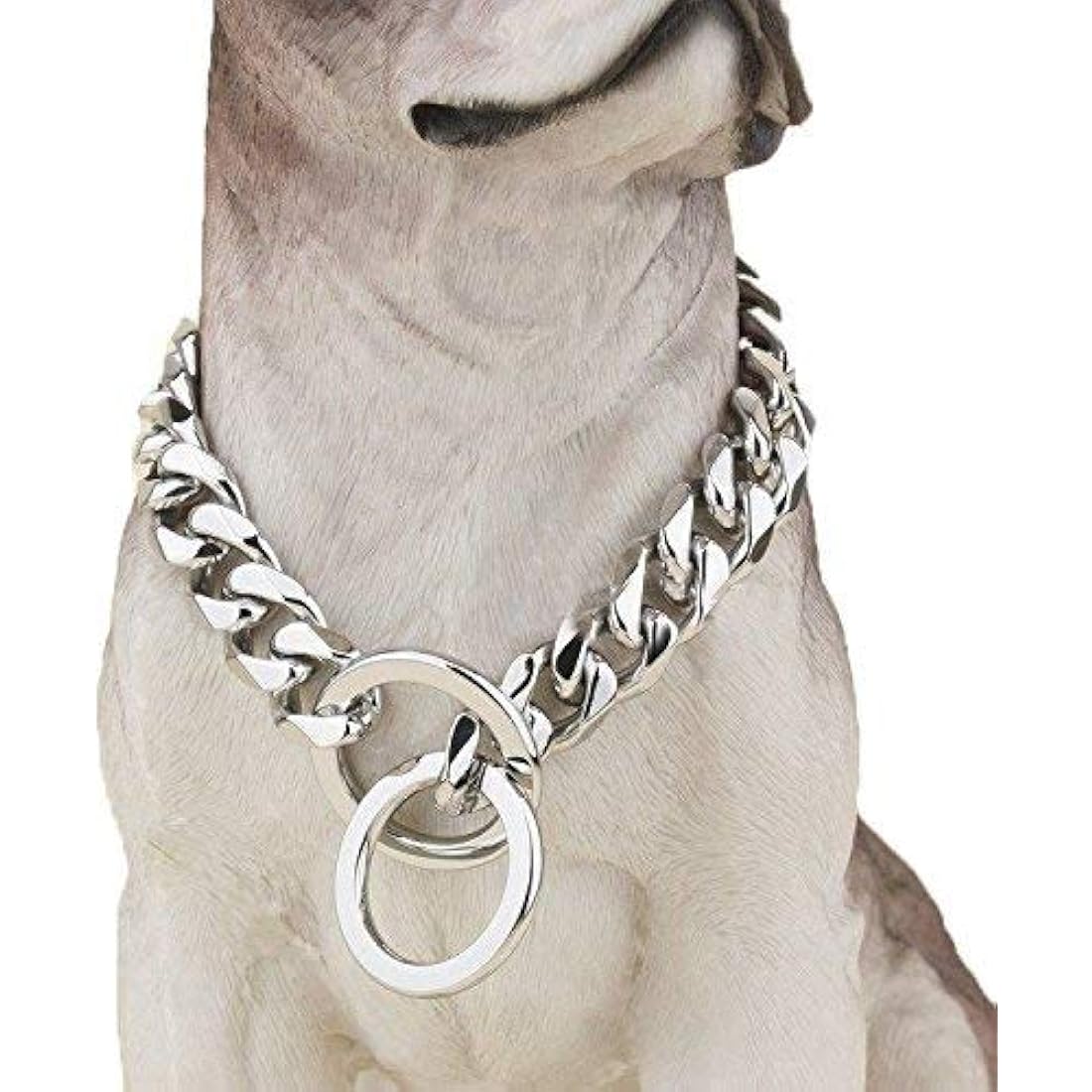 20mm Cuban Link Dog Collar – 316L Stainless Steel, 30"