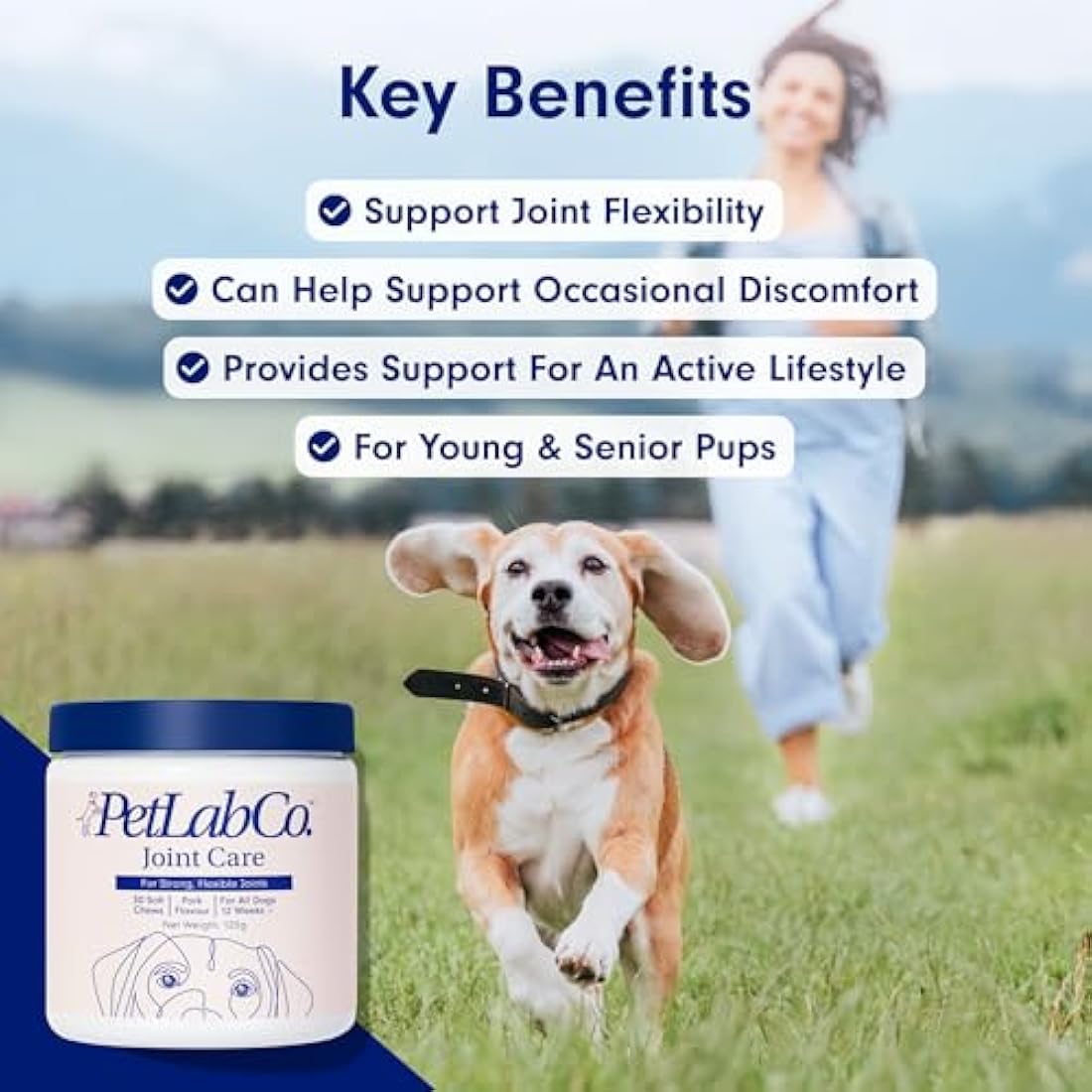 PetLab Co. Dog Joint Care Chews – Glucosamine & Turmeric Supplements