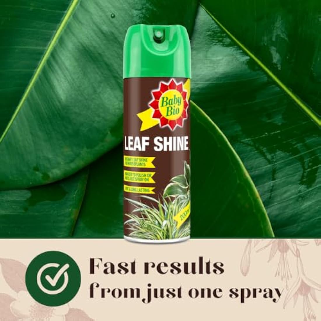 Baby Bio Leaf Shine – 200ml Aerosol Spray for Healthy Houseplant Leaves