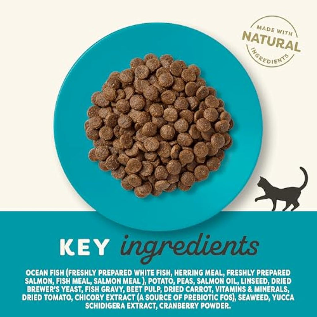 Applaws Grain Free Dry Adult Cat Food | Ocean Fish & Salmon - 6kg