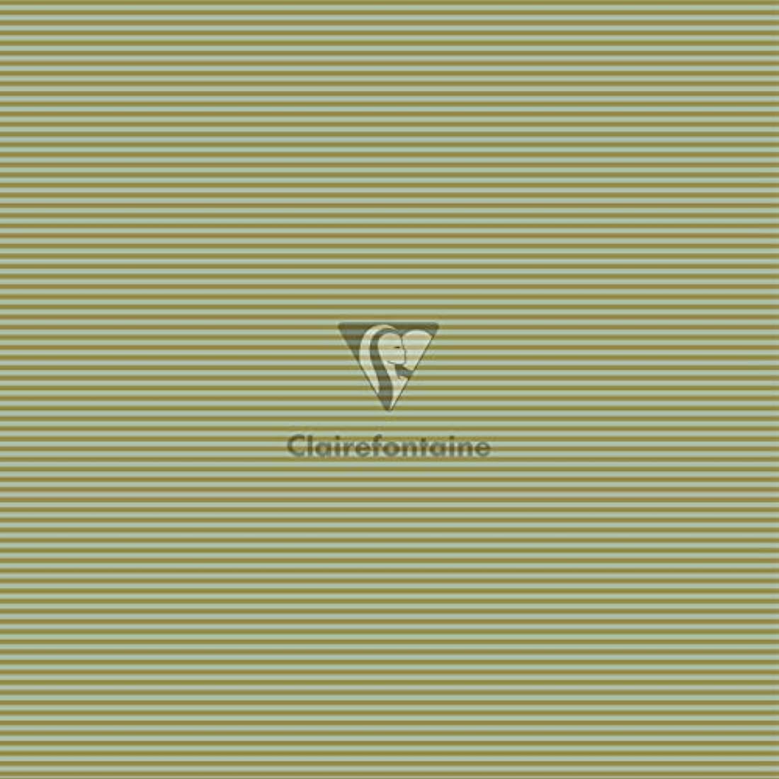 Clairefontaine Excellia Christmas Gift Wrapping Paper - 10 Rolls, 5x0.70m