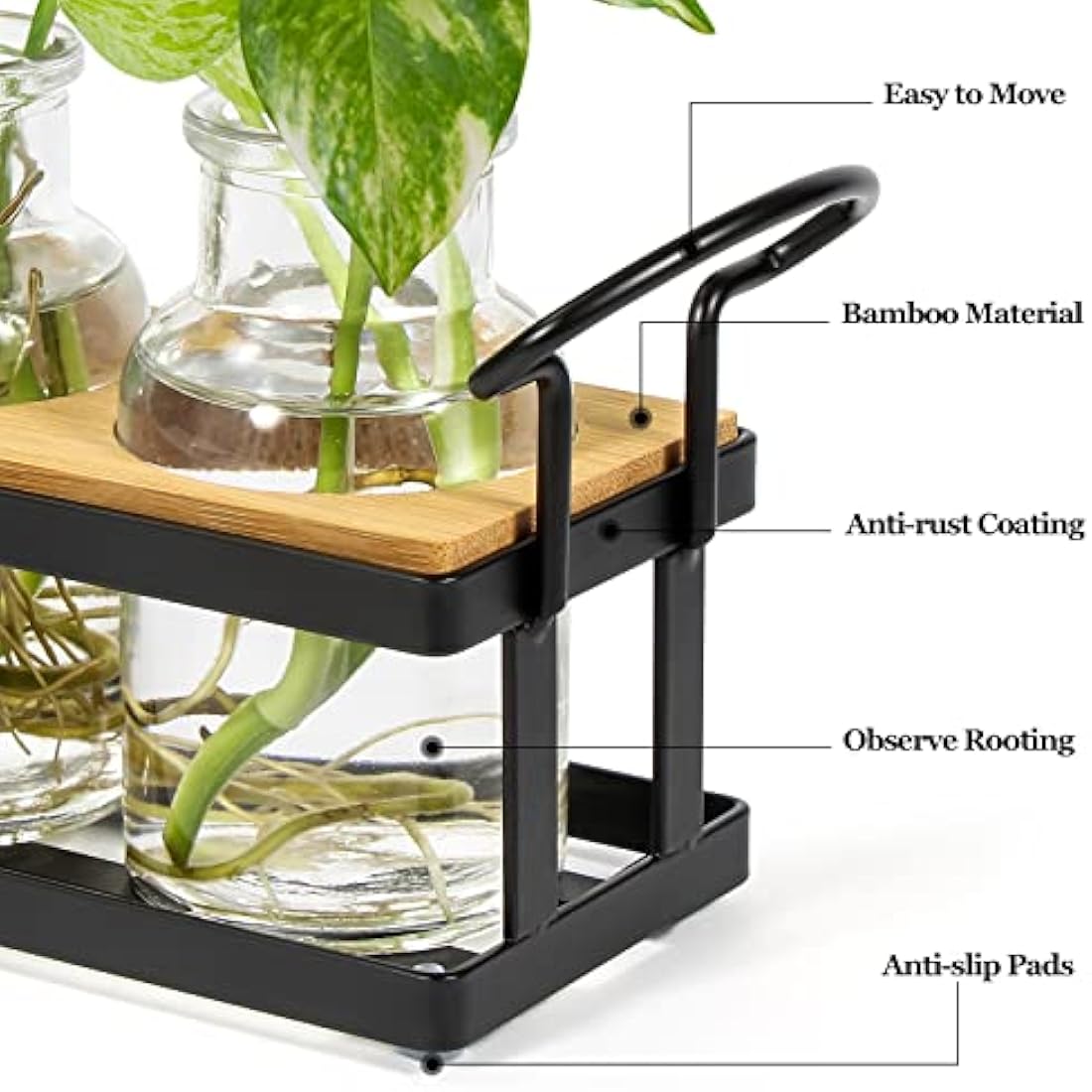 THYGIFTREE Plant Propagation Station | 5 Glass Jars with Metal Stand