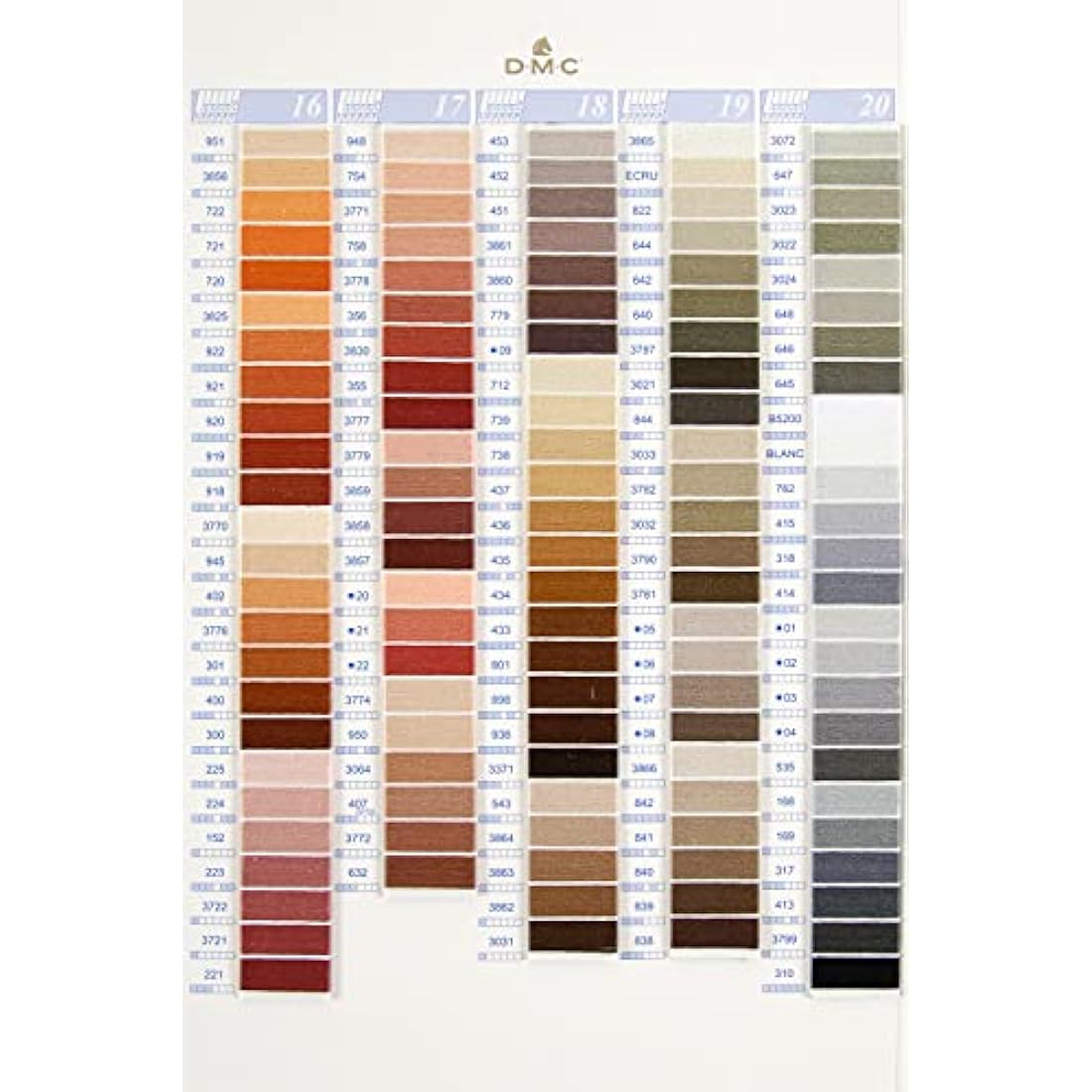 DMC Stranded Cotton Shade Card | Embroidery Thread Color Guide W100B