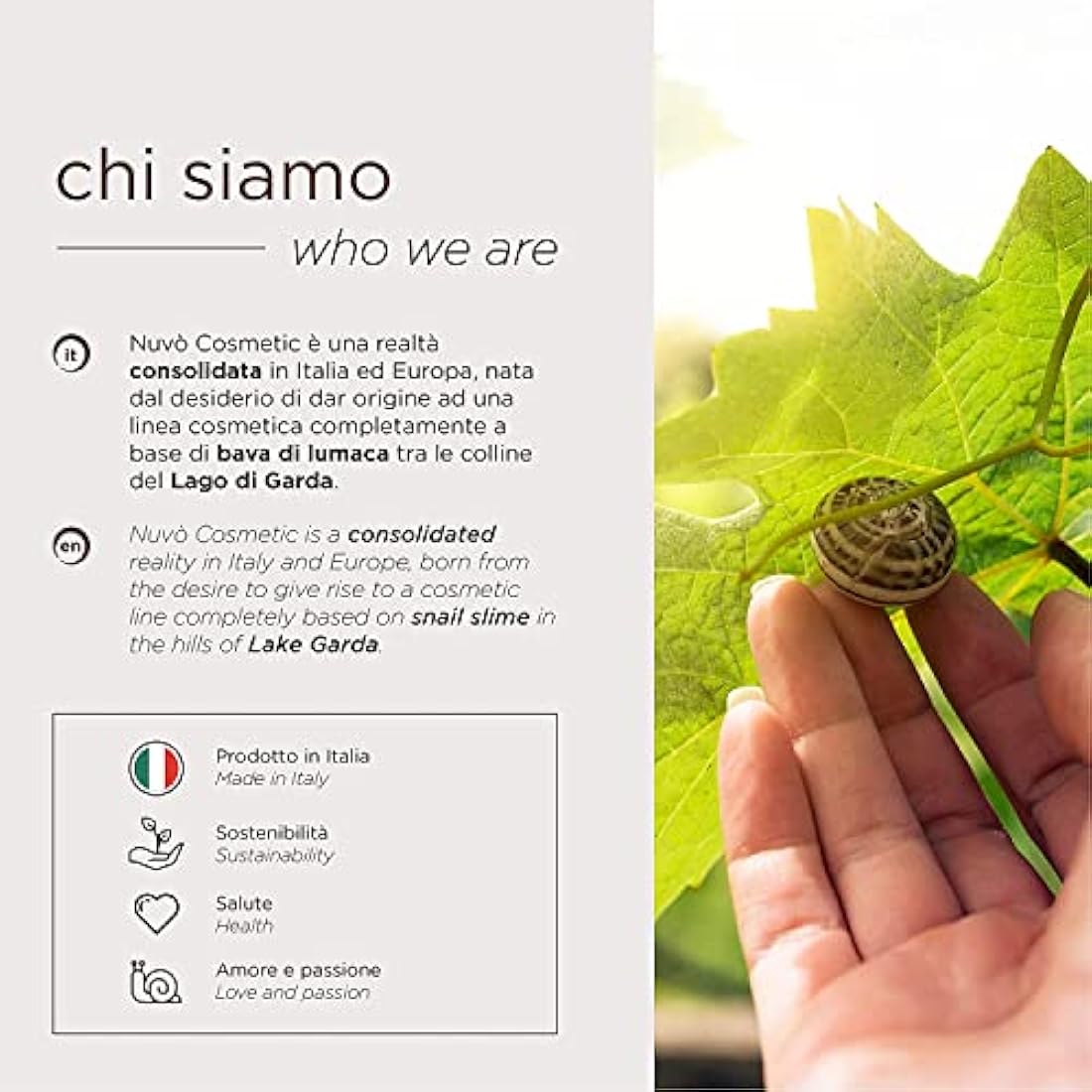 Nuvo' Snail Mucin Anti-Cellulite Hot Cream – Organic Firming Body Treatment
