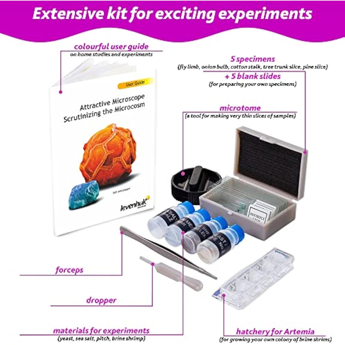 Levenhuk LabZZ M101 Amethyst Kids Microscope Science Kit – 640x STEM Toy