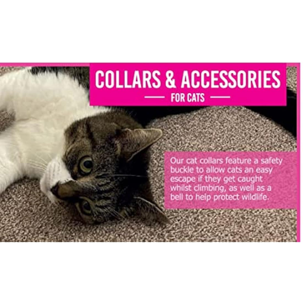 Ancol Turquoise Leopard Print Cat Collar with Safety Breakaway Buckle