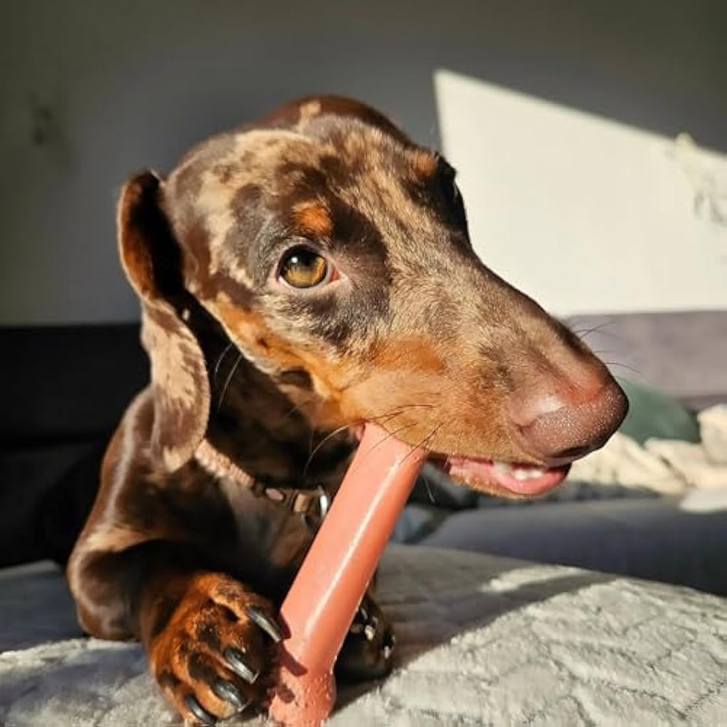 Nylabone Dura Chew Bacon Dog Toy – Durable Nylon Bone for Medium Dogs