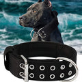 Heavy Duty 5cm Wide Padded Dog Collar with Handle | Black