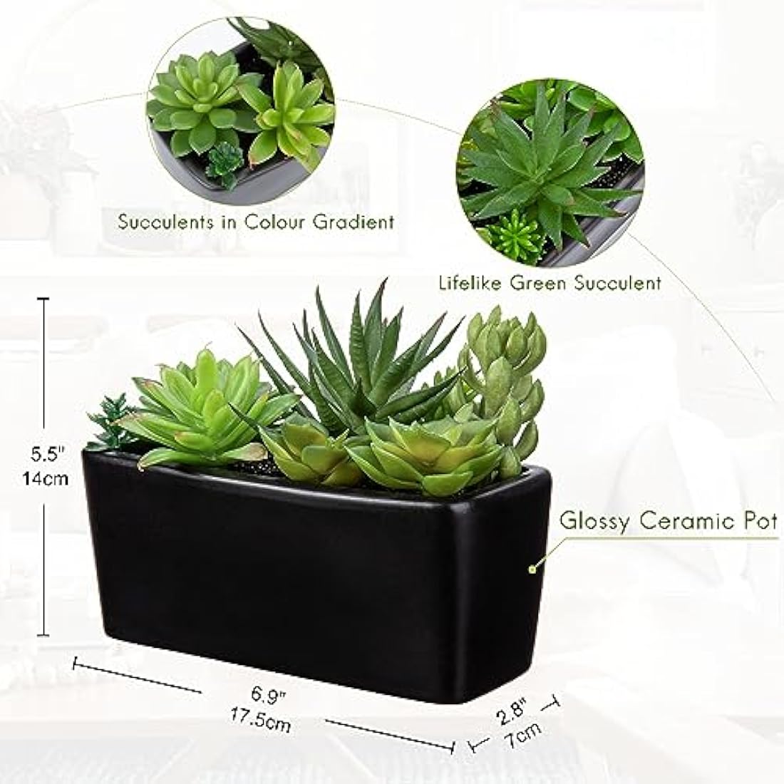Briful Artificial Succulents in Black Ceramic Pot | Faux Potted Plants