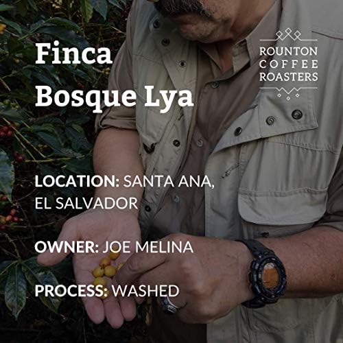 Rounton Coffee El Salvador Bosque Lya - 1kg Arabica Espresso Beans