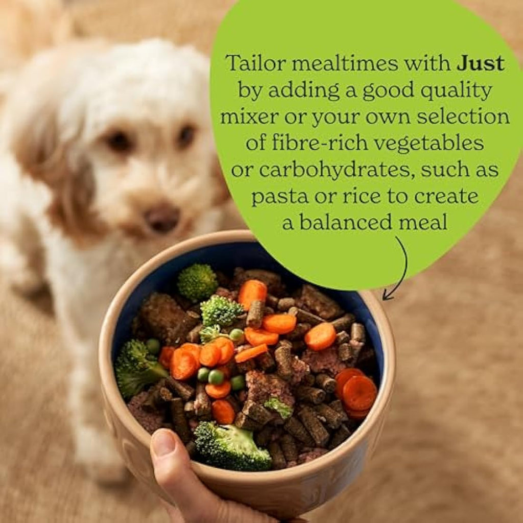 Forthglade Grain Free Wet Dog Food – 90% Duck & Vegetables (18 x 395g)