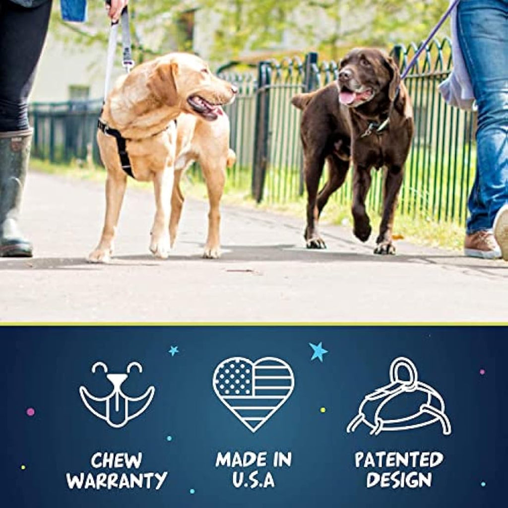 2 Hounds Design Freedom No-Pull Dog Harness & Leash | Teal, Medium
