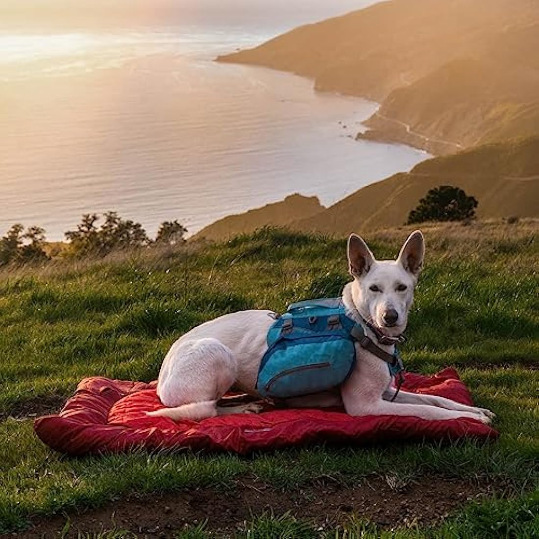 Kurgo Waterproof Travel Dog Bed – Portable Outdoor Camping Mat, Chili Red
