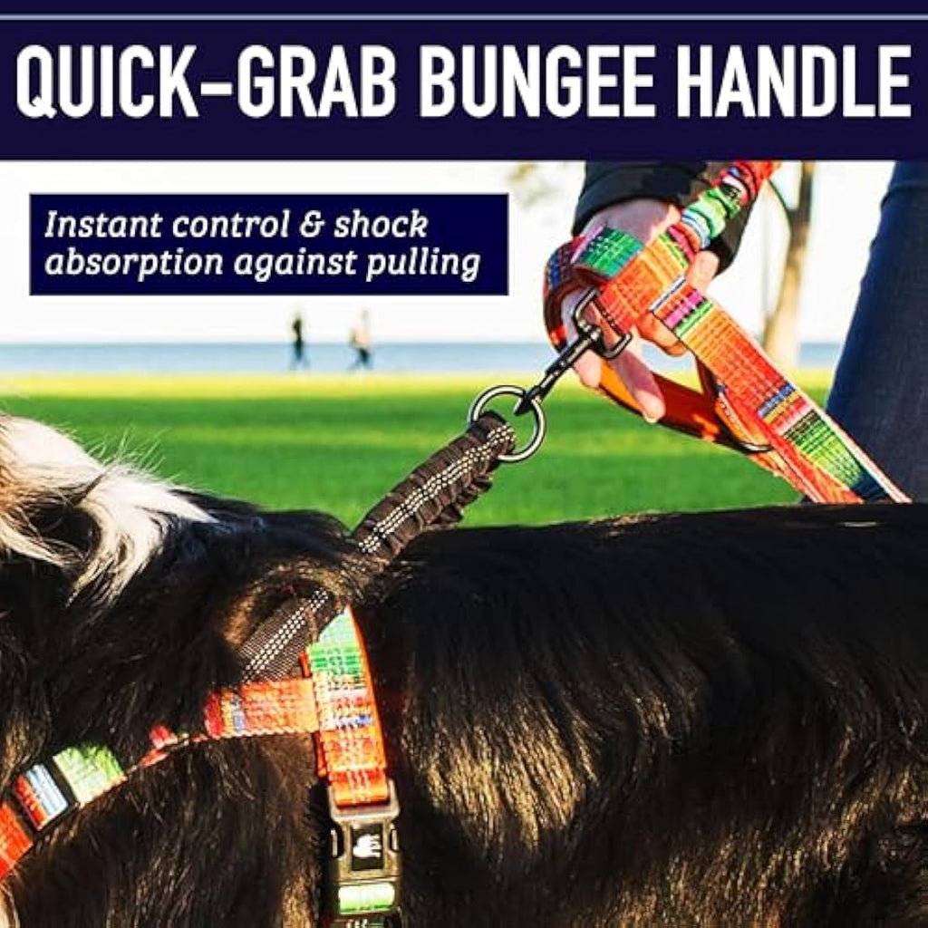 Leashboss No Pull Dog Harness – Reflective Shock Absorbing Bungee Handle