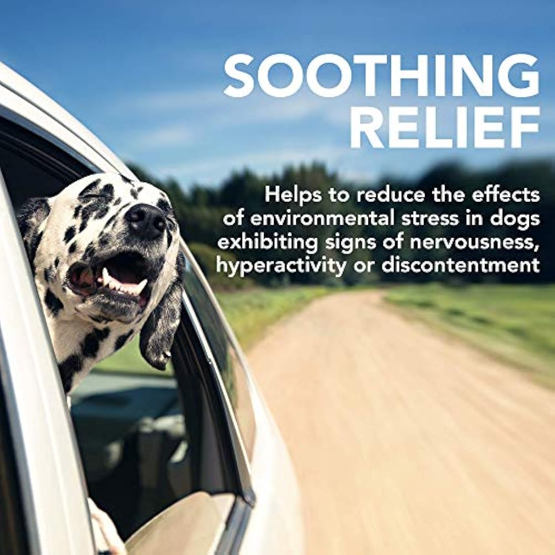 Vet's Best Comfort Calm Dog Calming Supplement - 60 Chewable Tablets