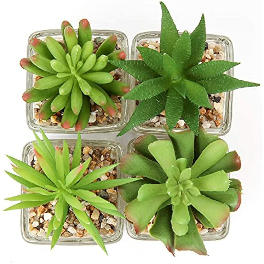 Briful Artificial Succulents – Set of 4 Mini Faux Plants in Glass Pots