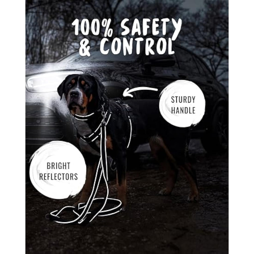 Rudelkönig Paola Dog Harness – Reflective No Pull Padded Chest Harness