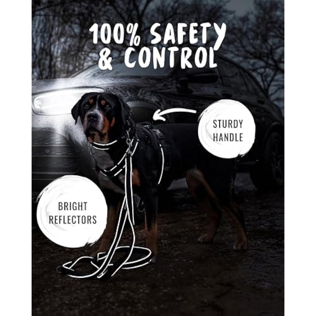 Rudelkönig Paola Dog Harness – Reflective No Pull Padded Chest Harness