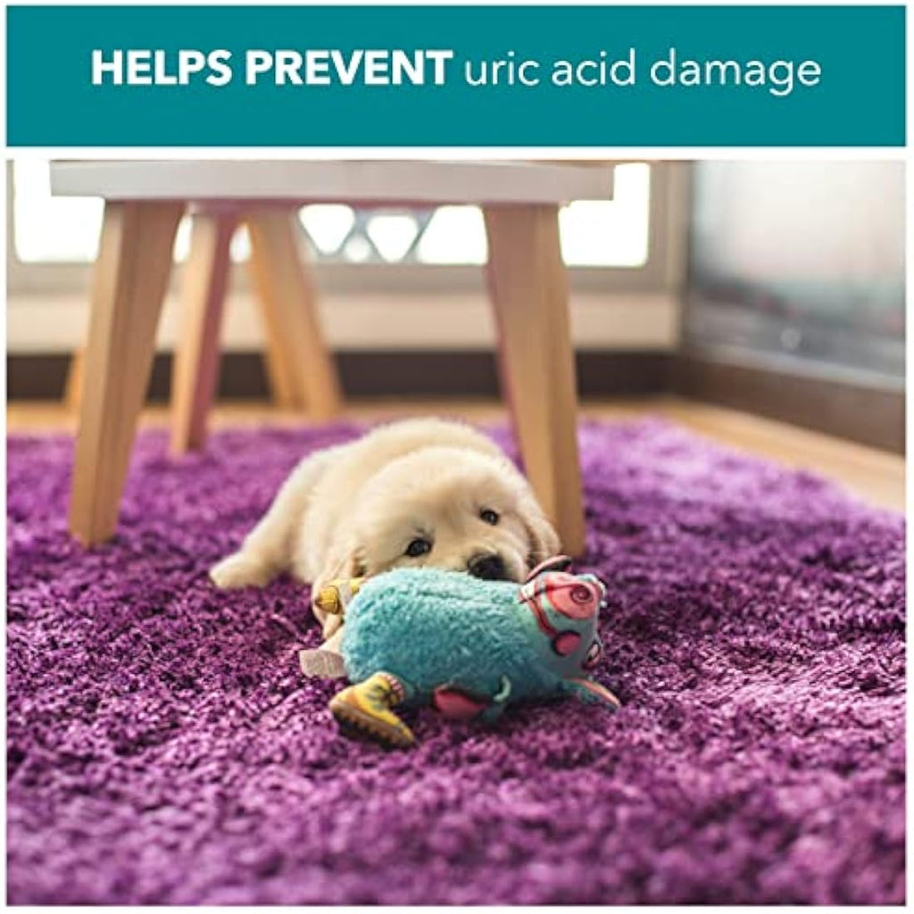 RSPCA Probiotic Pet Stain and Odour Remover - Wee Away 2 x 500ml