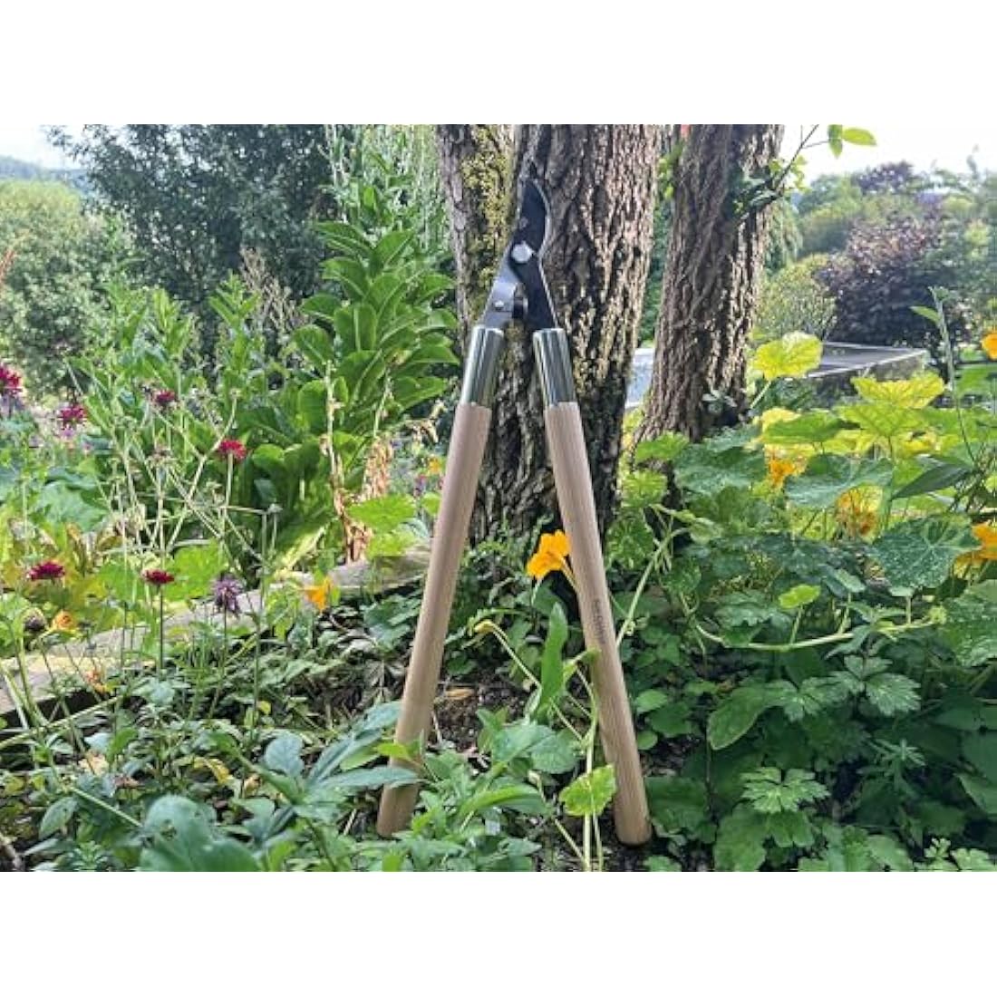 Spear & Jackson Kew Gardens Bypass Loppers – Carbon Steel Garden Tool