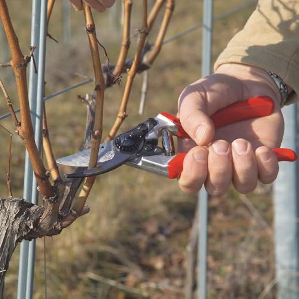 Felco Model 8 Classic Secateurs – Ergonomic Hardened Steel Pruning Shears