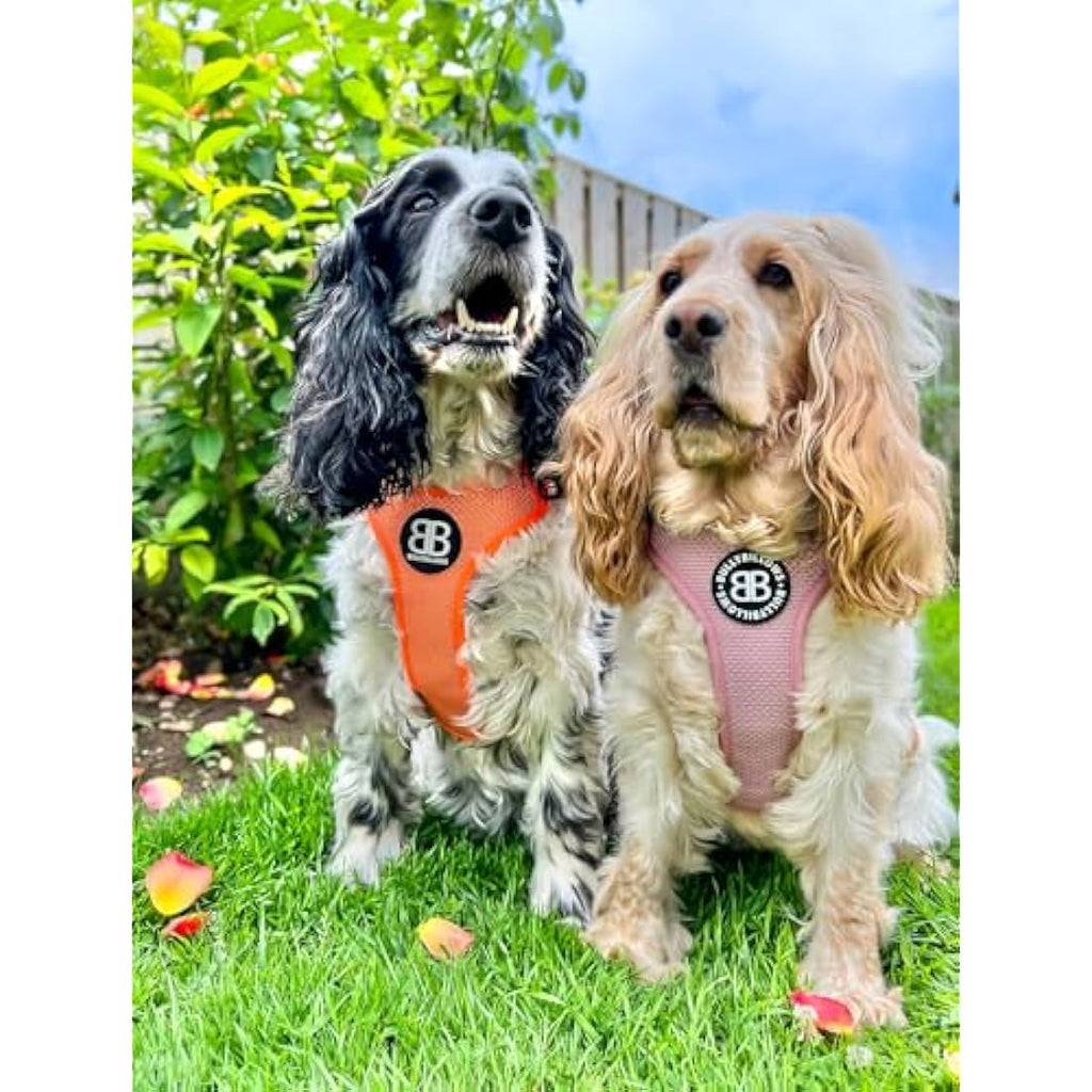 BullyBillows Active Light Dog Harness – Reflective Padded Vest, Grey Small