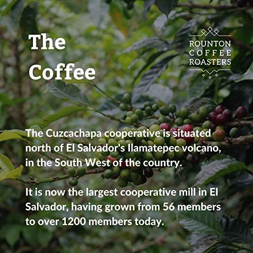 Rounton Coffee | El Salvador Arabica Coffee Beans | 1kg Medium Roast