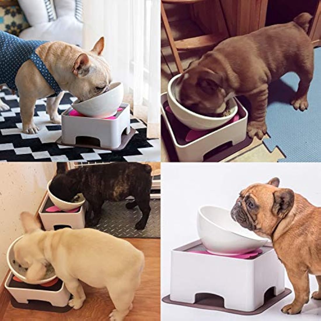 Ceramic Tilted Dog Bowl – Anti-Slip Feeder for Flat-Face Pets