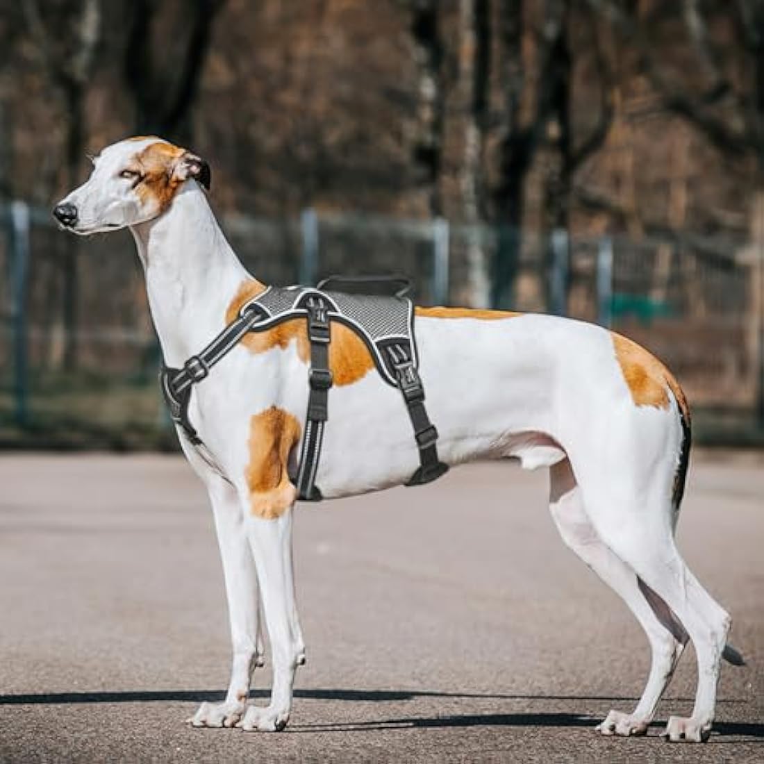 HEELE Escape Proof Dog Harness | Reflective No Pull Vest - Black, XL