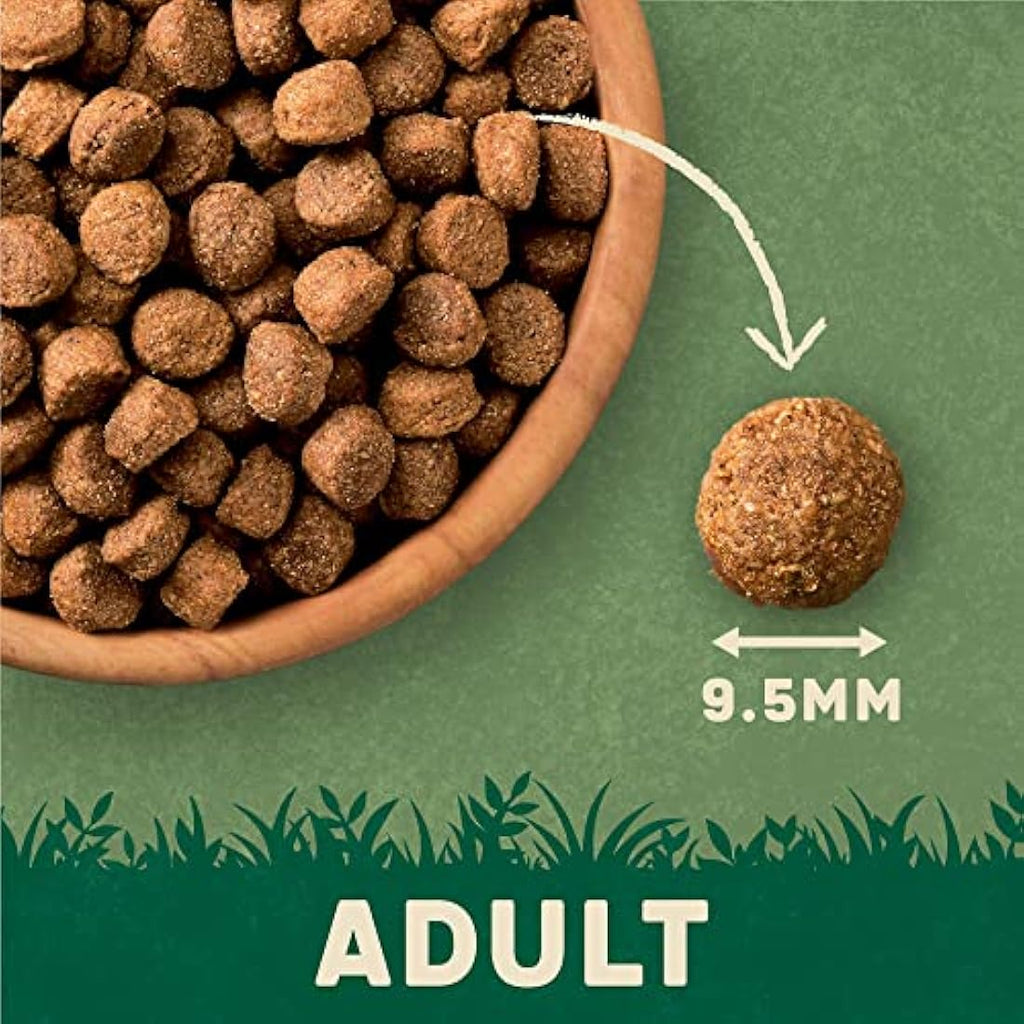Harringtons Salmon & Potato Dry Adult Dog Food - Natural Ingredients 12kg